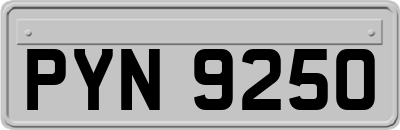 PYN9250