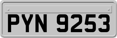 PYN9253