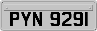 PYN9291