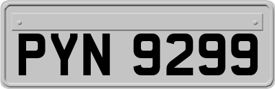 PYN9299