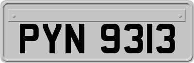 PYN9313