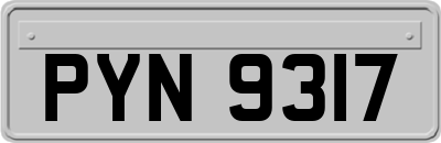 PYN9317