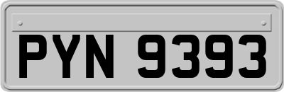 PYN9393