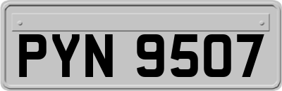 PYN9507