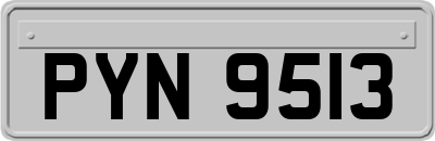 PYN9513