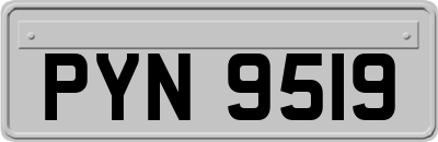 PYN9519