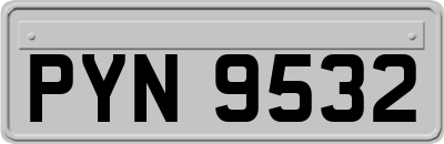 PYN9532