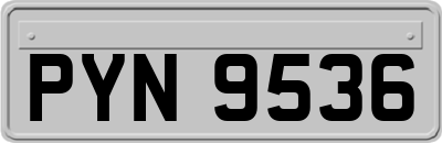 PYN9536