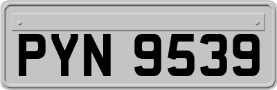 PYN9539