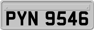 PYN9546