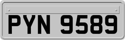 PYN9589