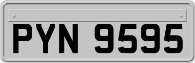 PYN9595