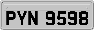 PYN9598