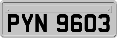 PYN9603