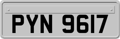 PYN9617