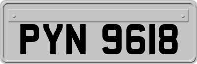 PYN9618