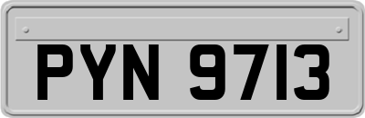 PYN9713