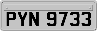 PYN9733