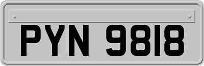 PYN9818