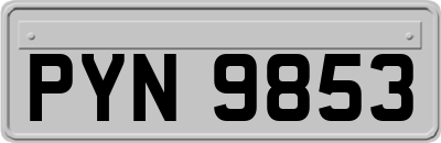 PYN9853