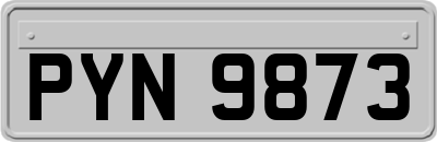 PYN9873