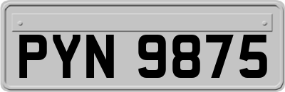 PYN9875