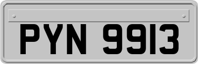 PYN9913