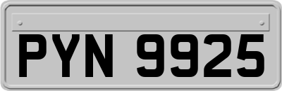 PYN9925