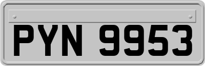 PYN9953