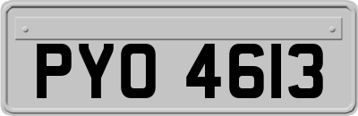 PYO4613