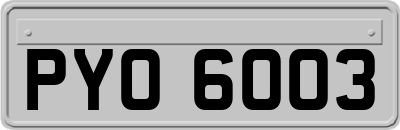 PYO6003