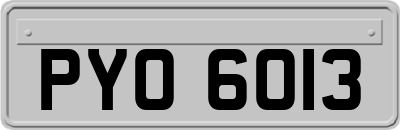 PYO6013