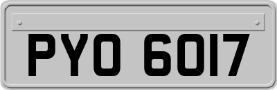 PYO6017