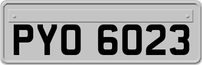 PYO6023