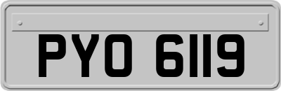 PYO6119