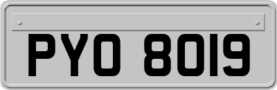 PYO8019