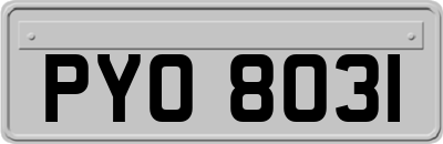 PYO8031