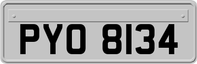 PYO8134