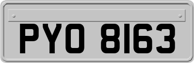 PYO8163