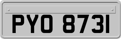 PYO8731