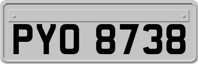 PYO8738