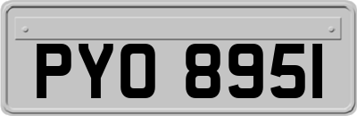 PYO8951