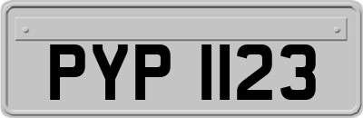 PYP1123