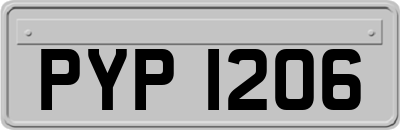 PYP1206