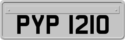 PYP1210