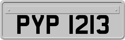 PYP1213