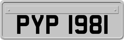 PYP1981