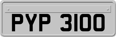 PYP3100