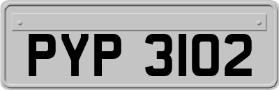 PYP3102