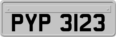 PYP3123